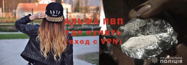 индика Баксан