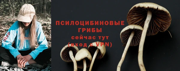 прущие крисы Белокуриха