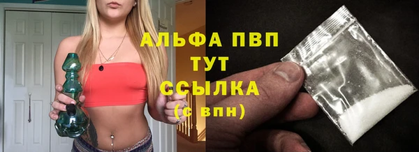 прущие крисы Белокуриха