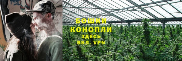 прущие крисы Белокуриха