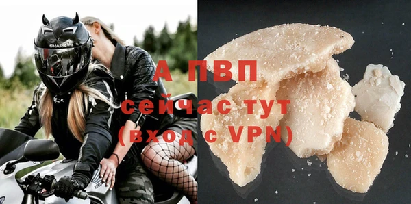 прущие крисы Белокуриха