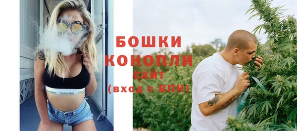 прущие крисы Белокуриха