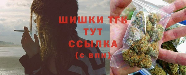 прущие крисы Белокуриха