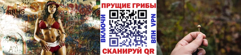 Галлюциногенные грибы Psilocybine cubensis  Городовиковск 